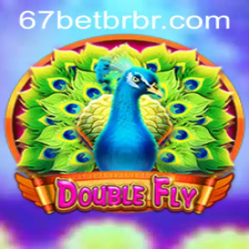 DoubleFly: A New Era in Gaming with 67bet